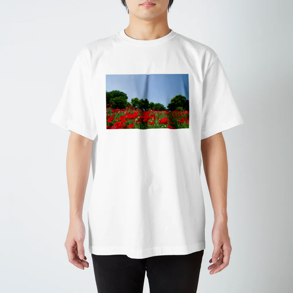 Toshiaki Sakuraiのポピー畑 スタンダードTシャツ