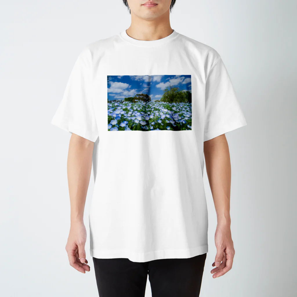 Toshiaki Sakuraiのネモフィラ畑 スタンダードTシャツ