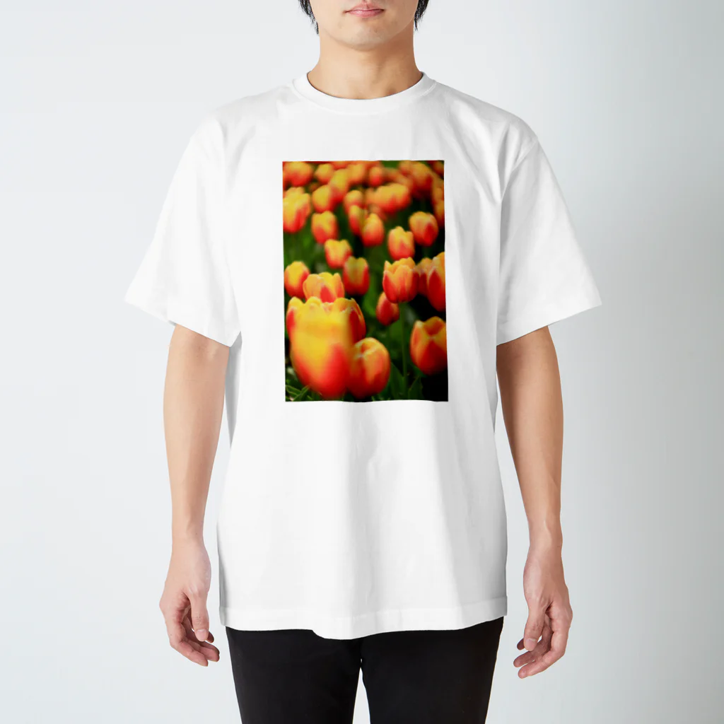 Toshiaki Sakuraiのチューリップいっぱい スタンダードTシャツ