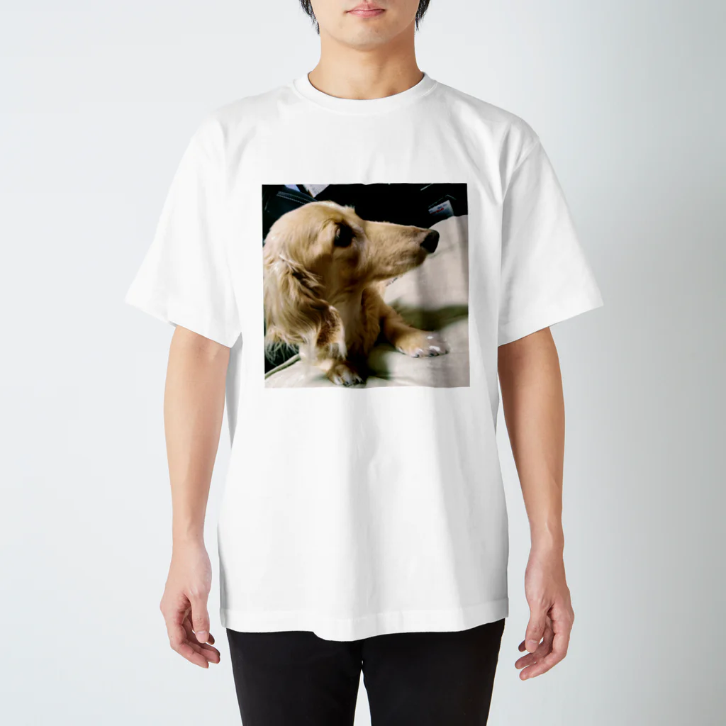 A2機関の一般的な愛犬 Regular Fit T-Shirt