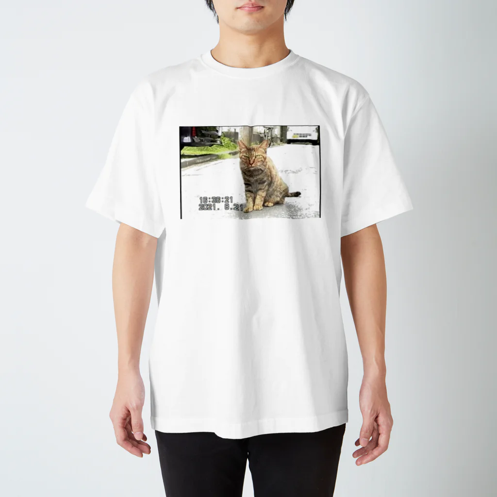 ディスク百合おんのminiDVテープ「座る猫」 スタンダードTシャツ