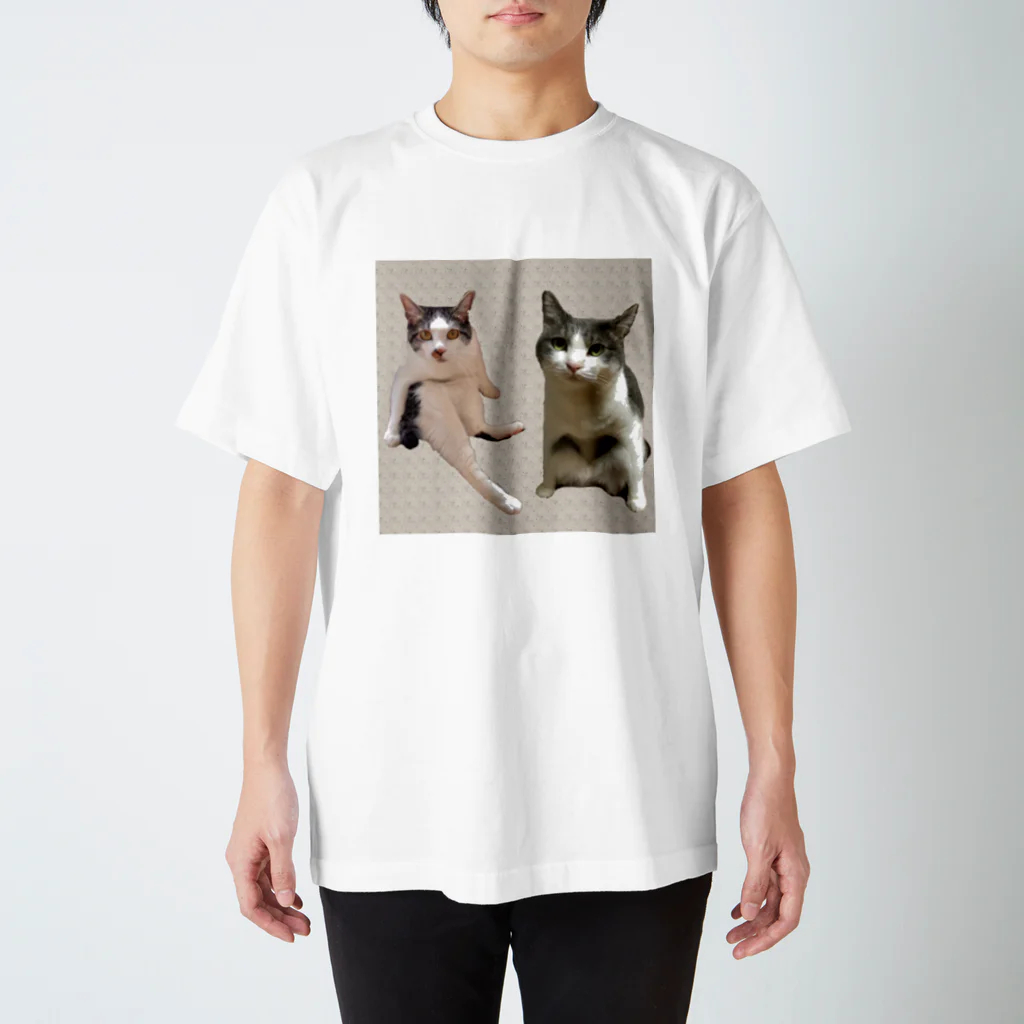 空風のヘンな座り方の兄妹猫 Regular Fit T-Shirt