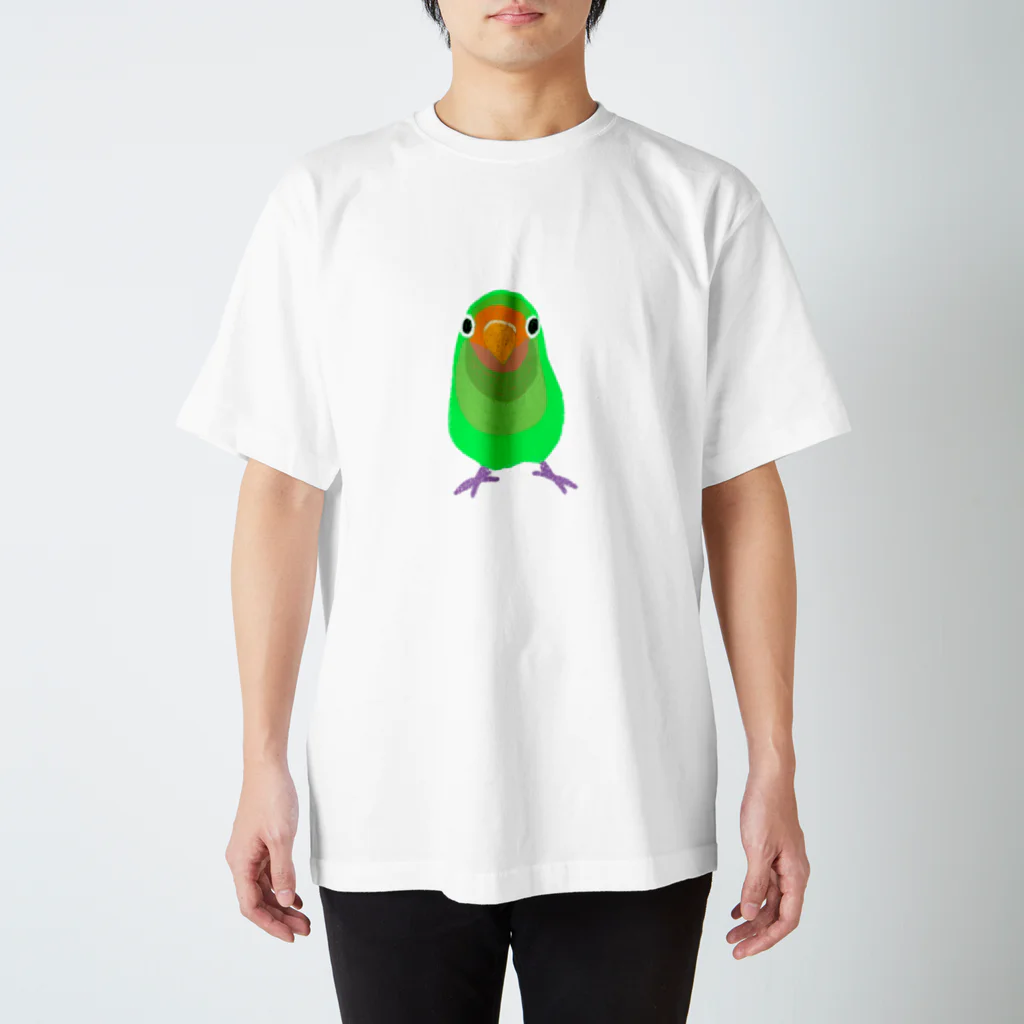 鳥の巣のヤエザクラインコのメロン君 Regular Fit T-Shirt