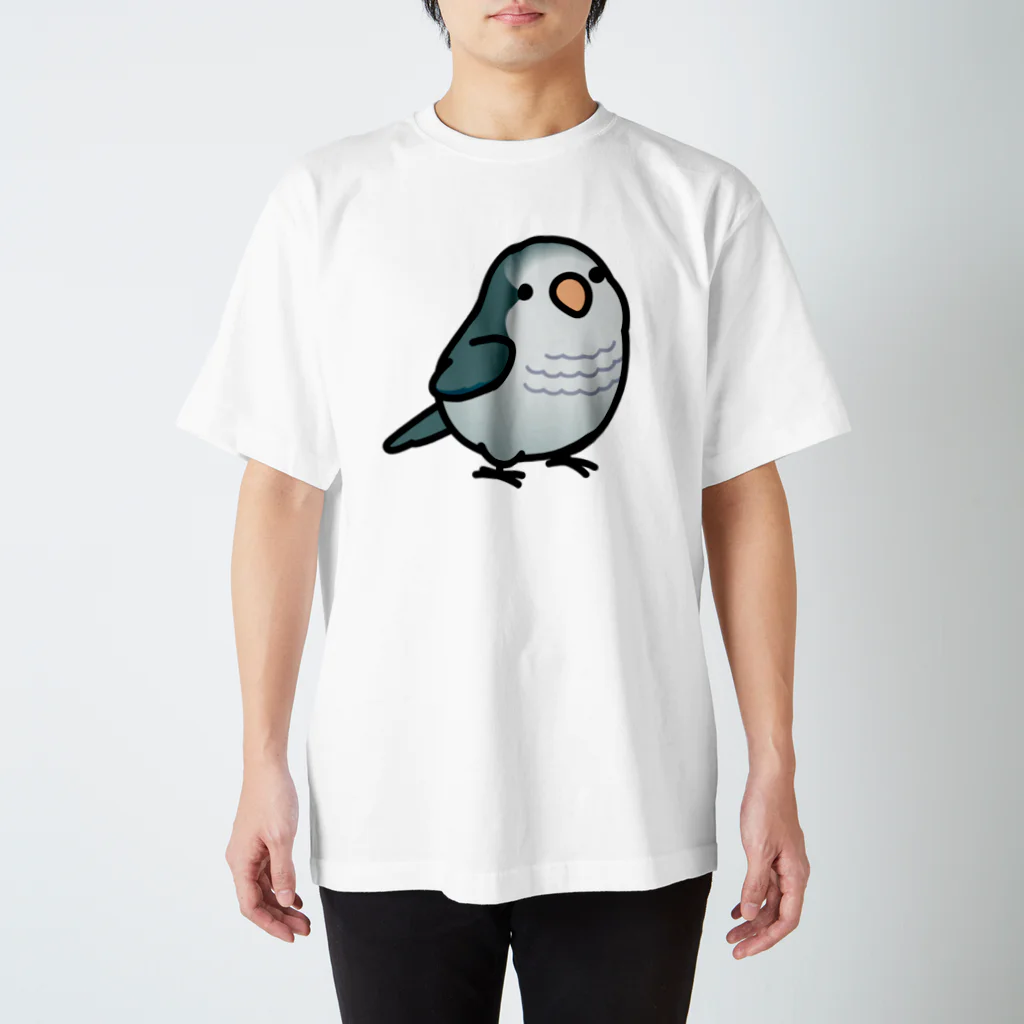 Cody the LovebirdのChubby Bird オキナインコ スタンダードTシャツ