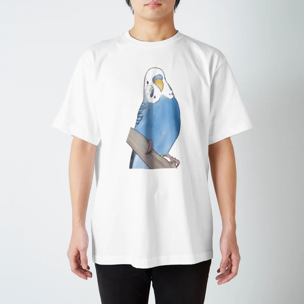 まめるりはことりのセキセイインコちゃんと止まり木【まめるりはことり】 スタンダードTシャツ