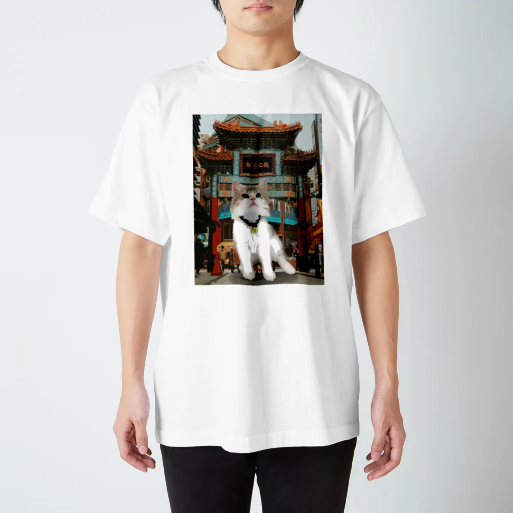 ToMoMiSaのCat looking upx横浜中華街 -猫【ご当地シリーズin横浜】 スタンダードTシャツ