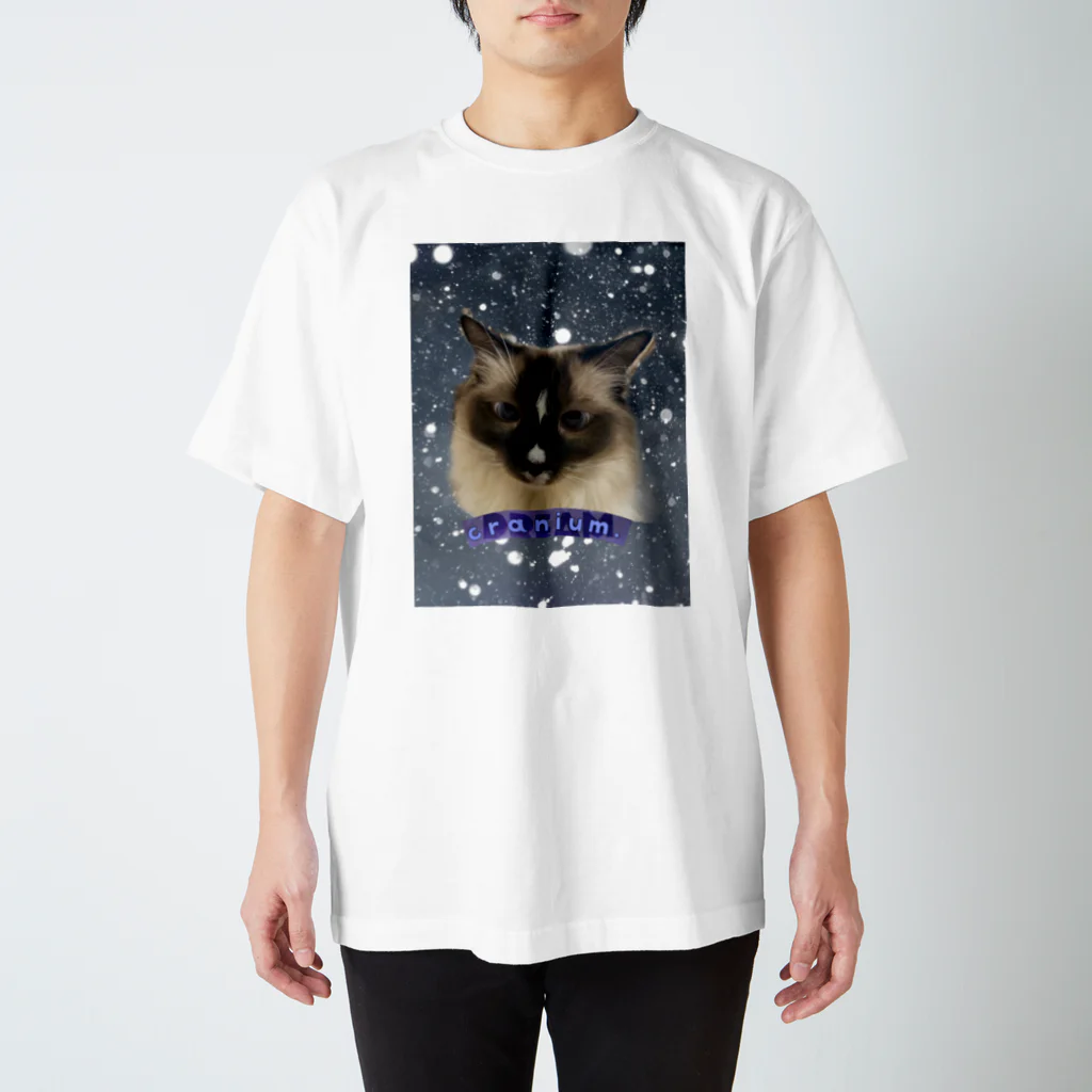 ꏸꋪꋫꁹꂑꐇꁒ𖤐《毎日ハロウィンのクラニアム》のねこの雫 スタンダードTシャツ