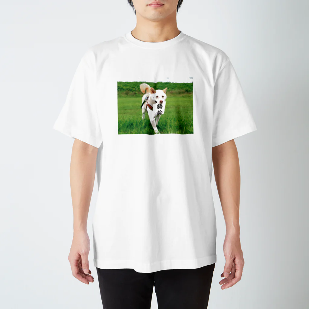 企画デザイン２時の勝訴犬 スタンダードTシャツ