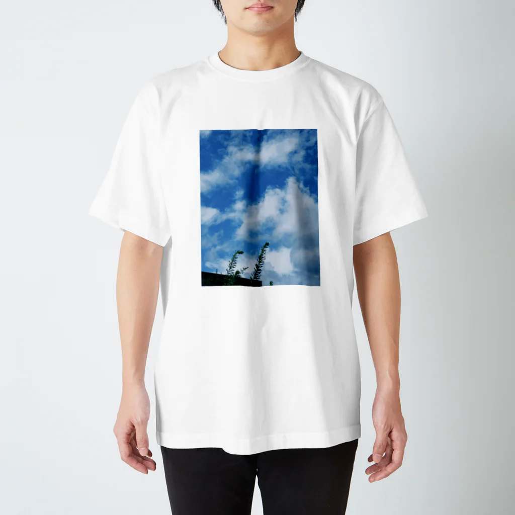 EOWの遥か空にボーイング スタンダードTシャツ