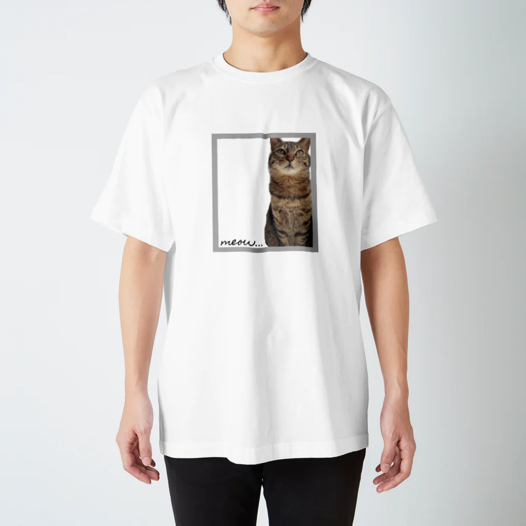 meow.の猫のちぃちゃん。(おすましver.) スタンダードTシャツ