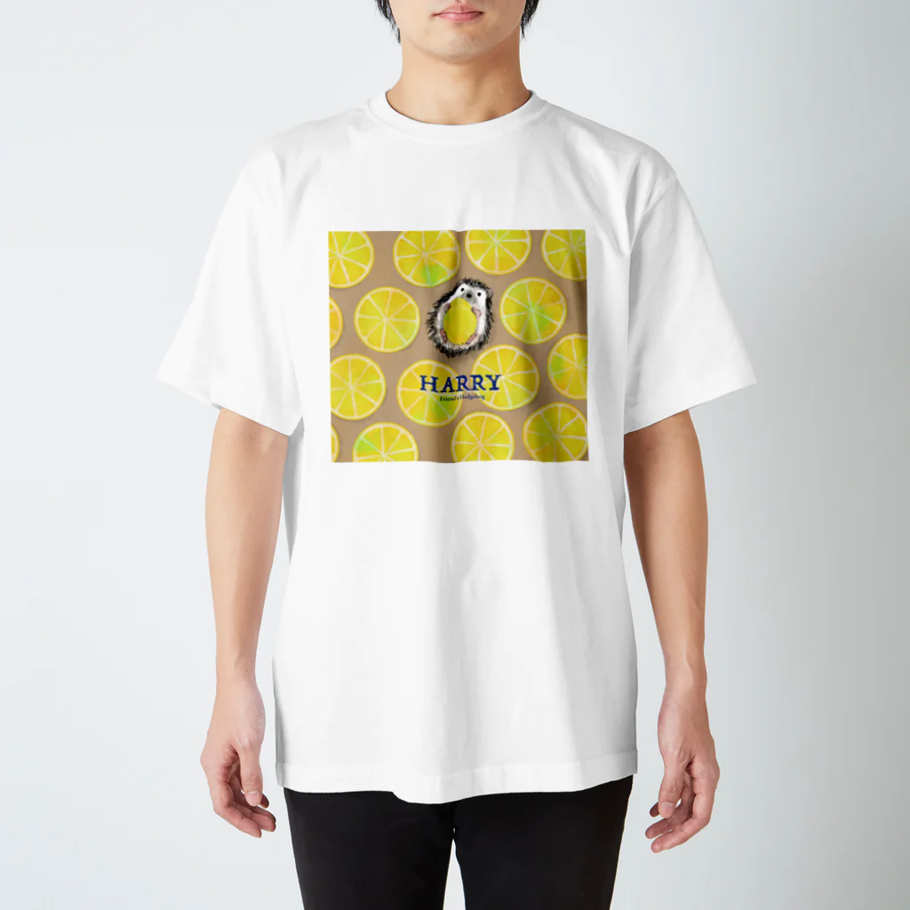 三日月のともだちのハリネズミ スタンダードTシャツ