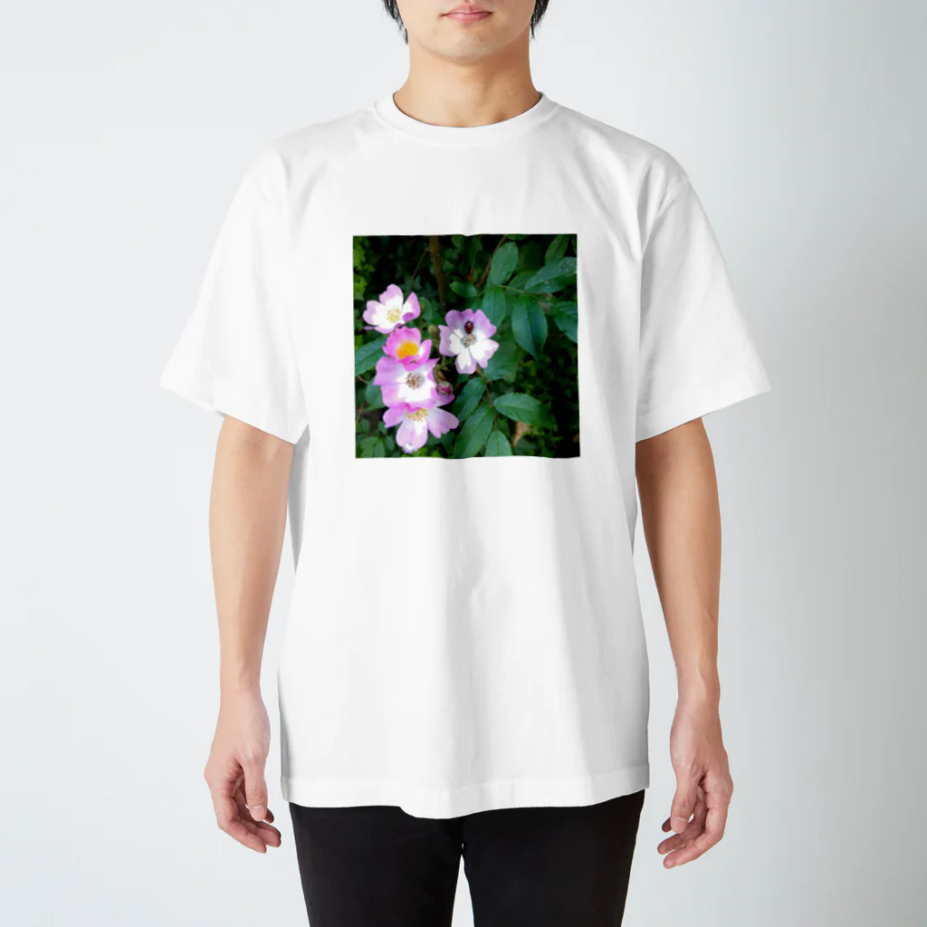 magentaの幸せのお福分け(おすそわけ) Regular Fit T-Shirt