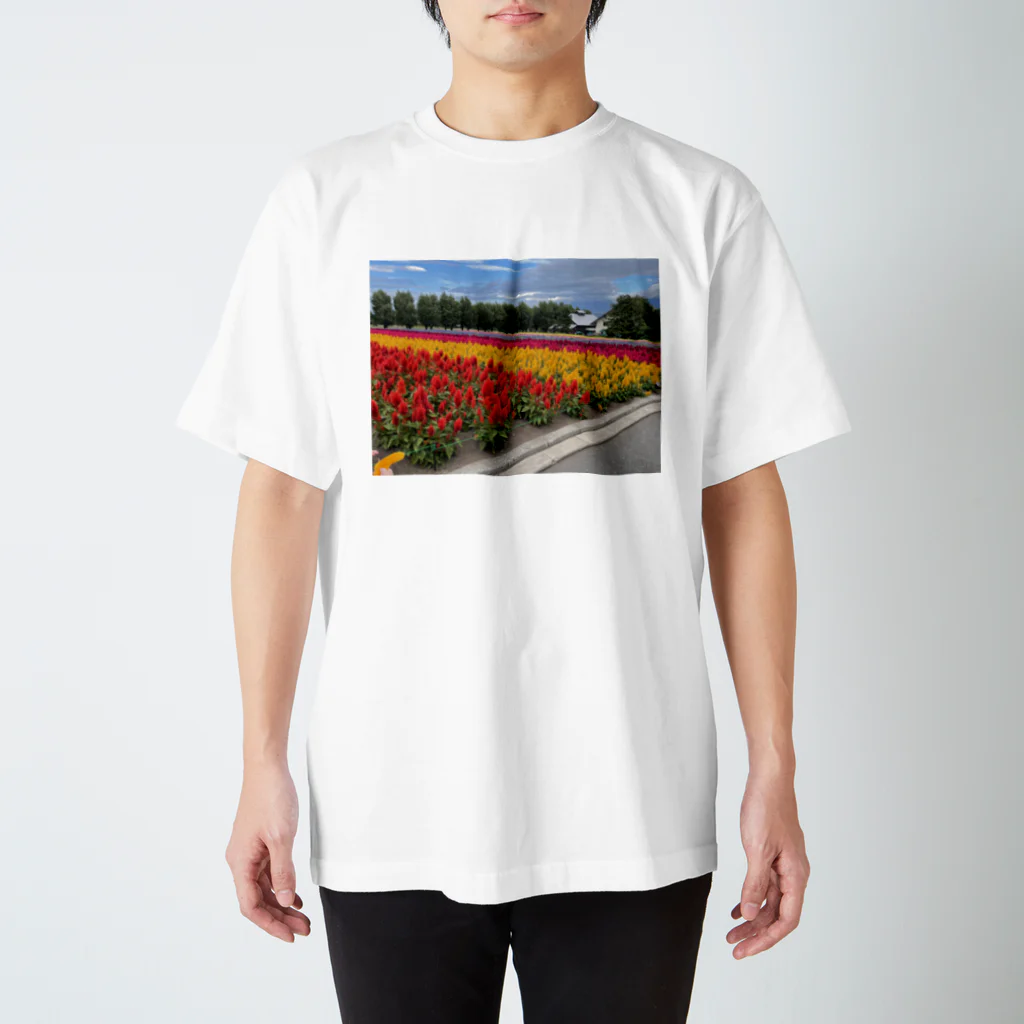 つかたんの花畑 Regular Fit T-Shirt
