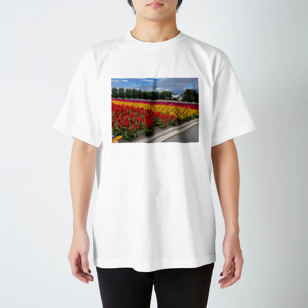 つかたんの花畑 スタンダードTシャツ