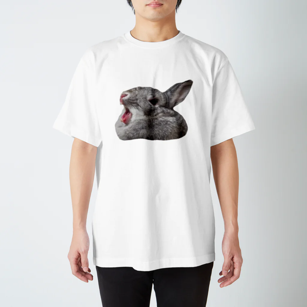 いきもの大好き！ほほえみフレンズのうさぎの叫び Regular Fit T-Shirt