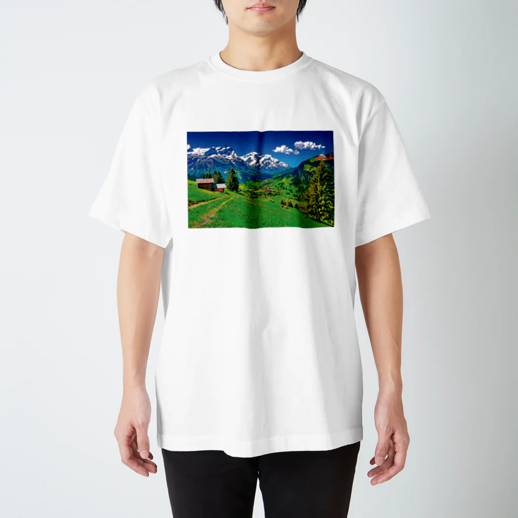 GALLERY misutawoのスイス ベルナー・オーバーラント地方 スタンダードTシャツ