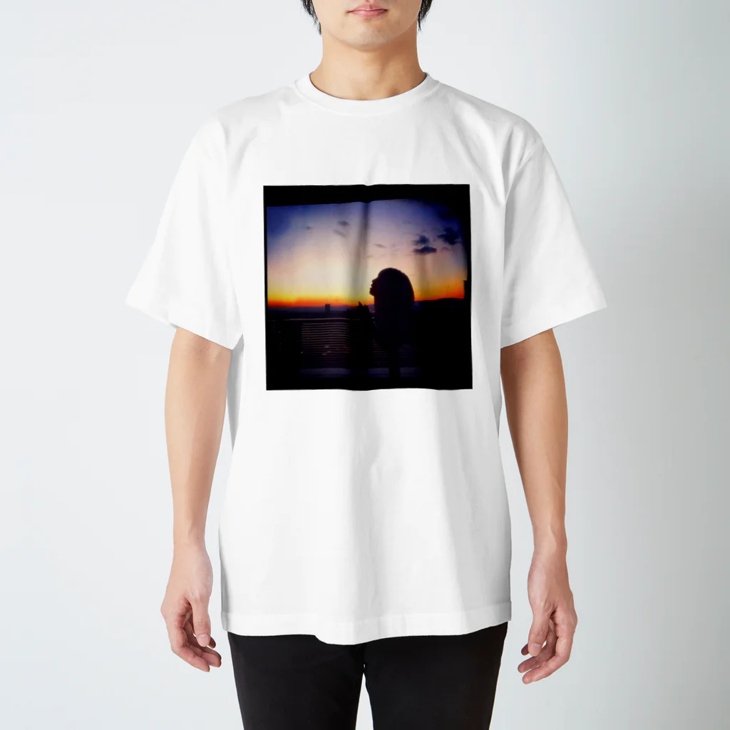 癒しショップの夕陽 Regular Fit T-Shirt