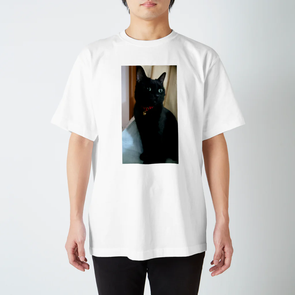 福丸屋のキリッ(ねこ) スタンダードTシャツ