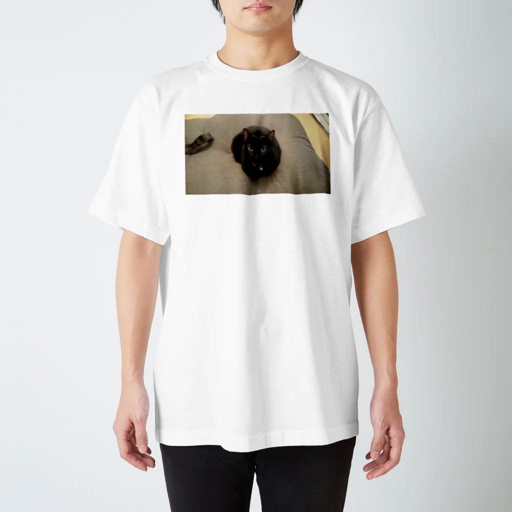 福丸屋のおすまし(ねこ) Regular Fit T-Shirt