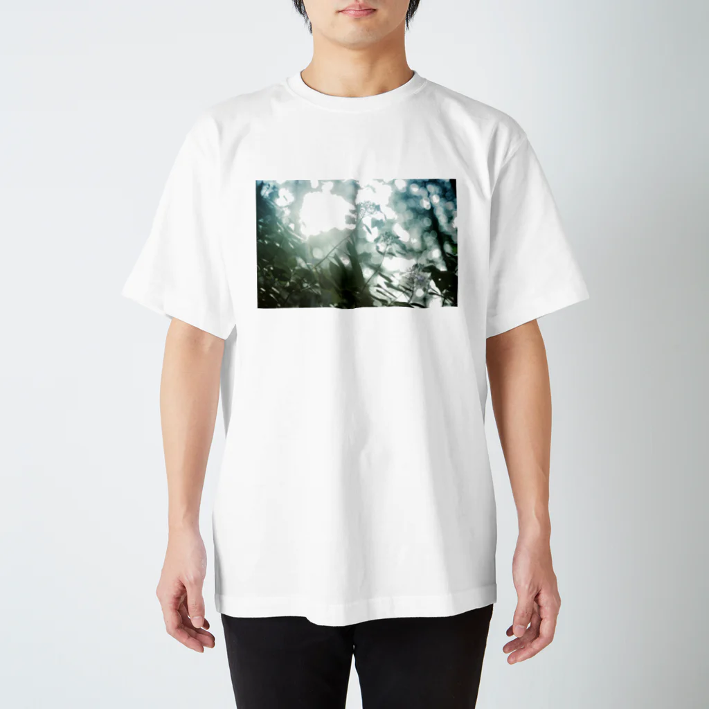 パーマとヒツジの碧と翠 Regular Fit T-Shirt