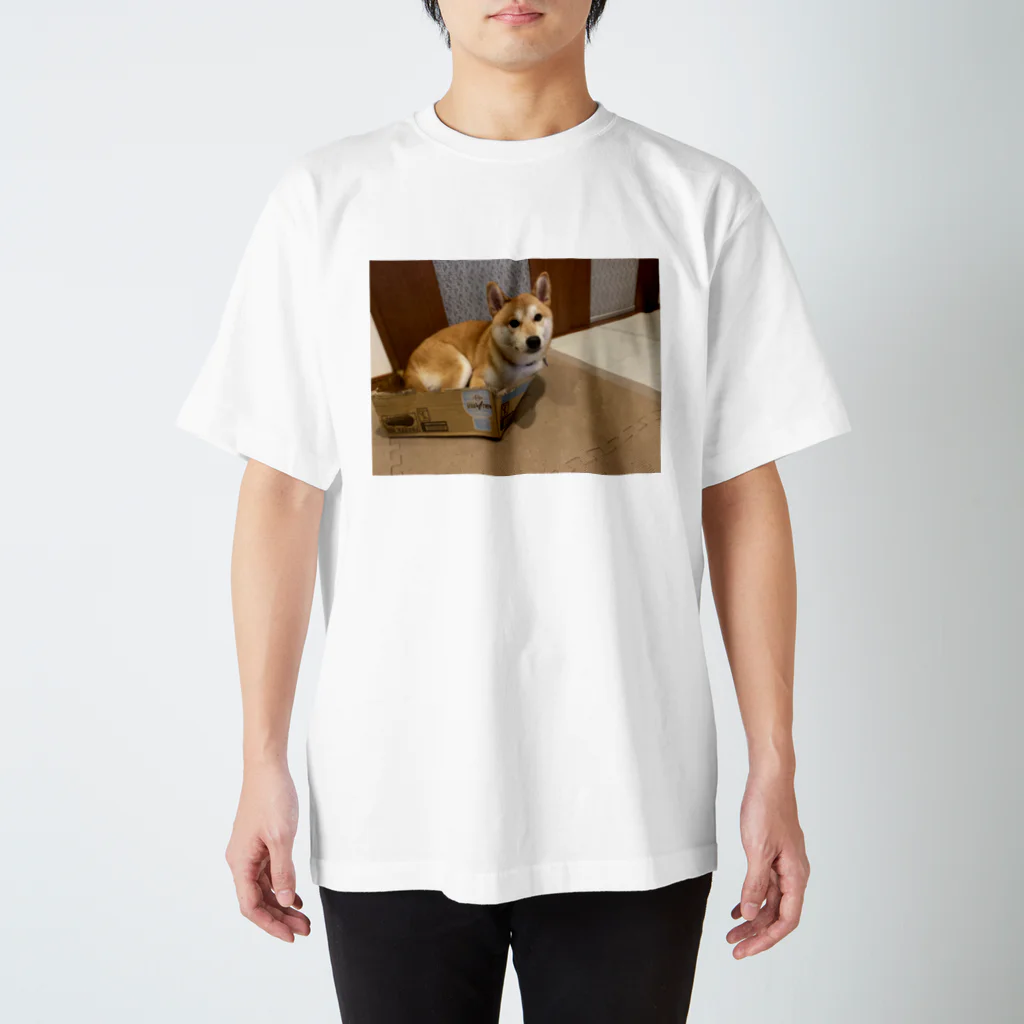 takashi___の柴犬五郎 Regular Fit T-Shirt