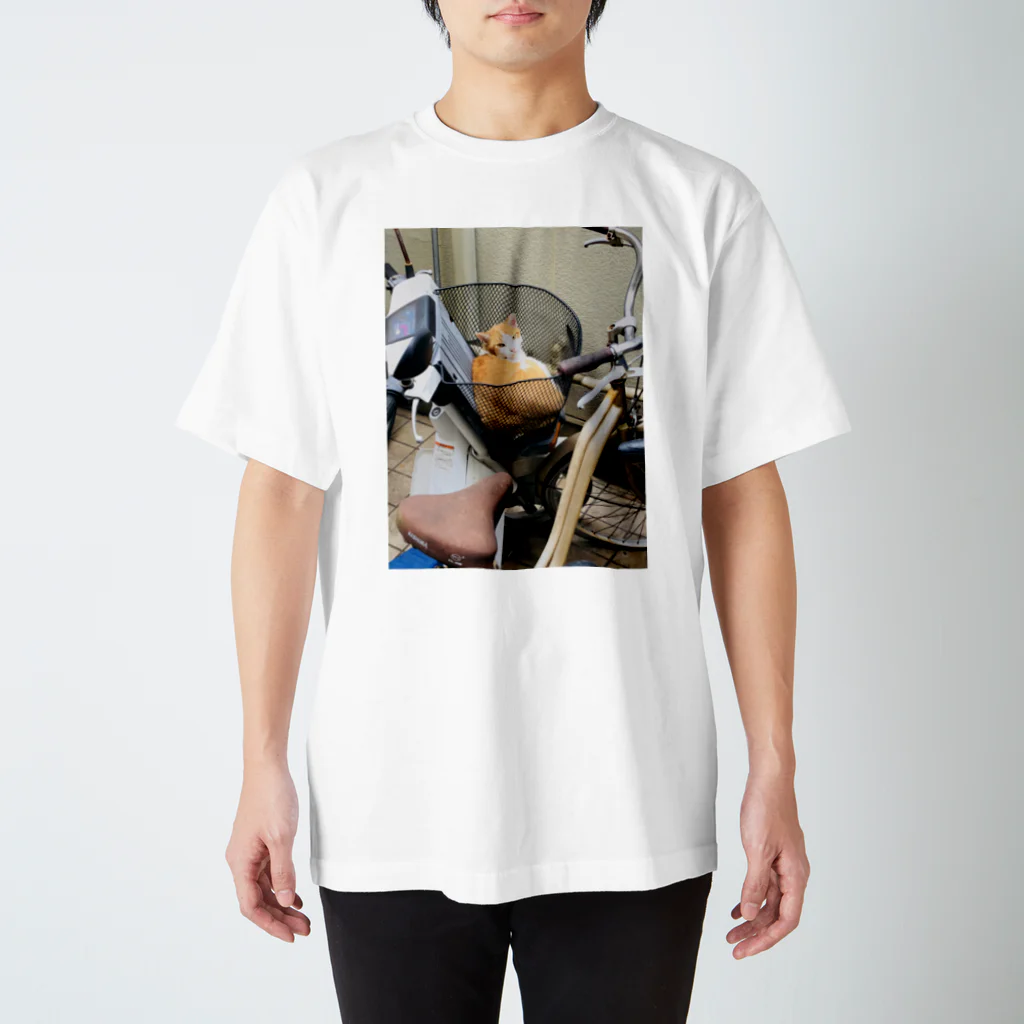 kay_designのねこ in まえかご スタンダードTシャツ