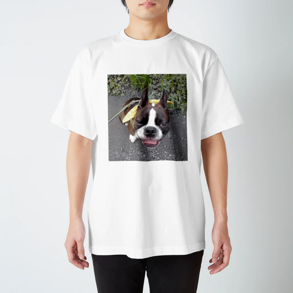 Laikathebostonterrierのおさんぽライカ2 Regular Fit T-Shirt