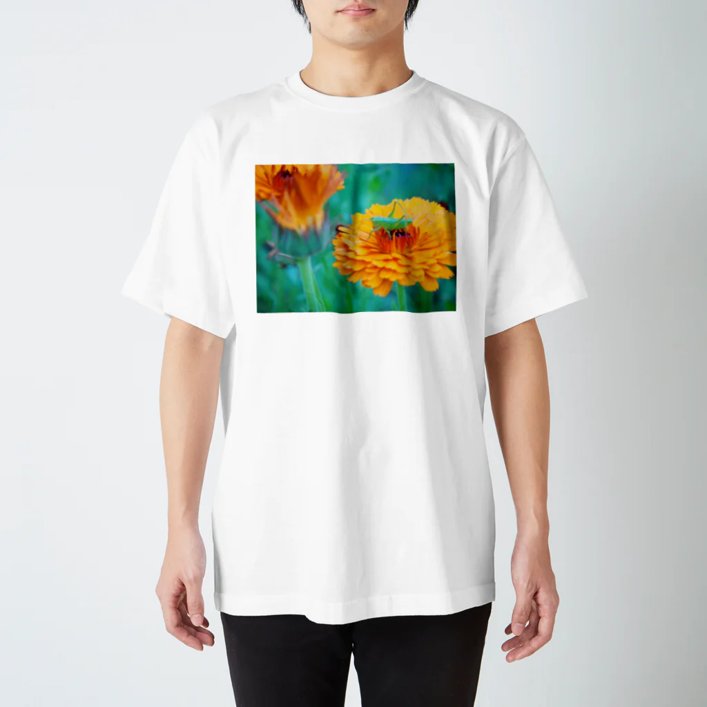 matsunomiの庭の花と虫 スタンダードTシャツ