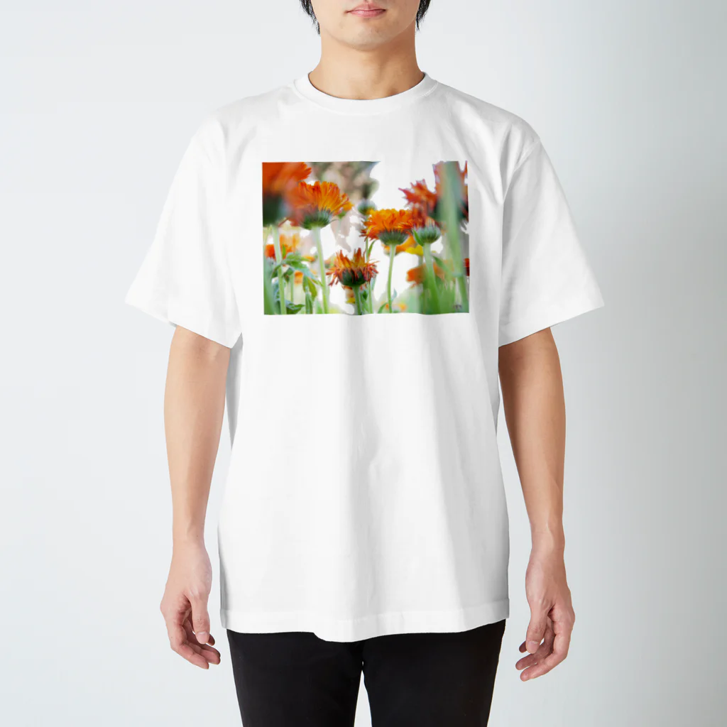 matsunomiの光と花 スタンダードTシャツ