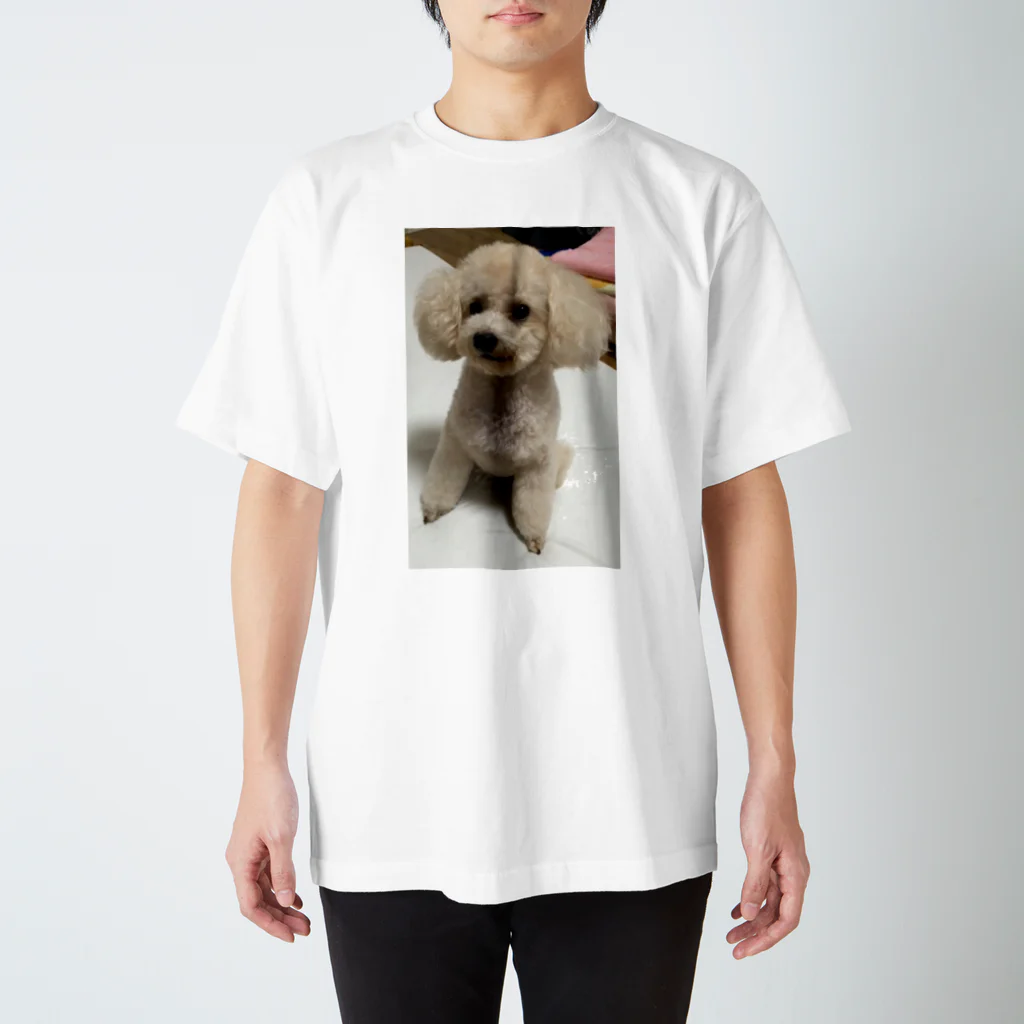 NogizakaのDog プードル スタンダードTシャツ