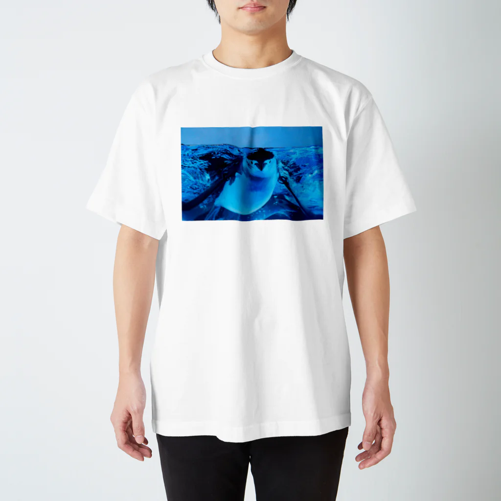 ペンギンの写真のヒゲペンギン　写真　リアル Regular Fit T-Shirt