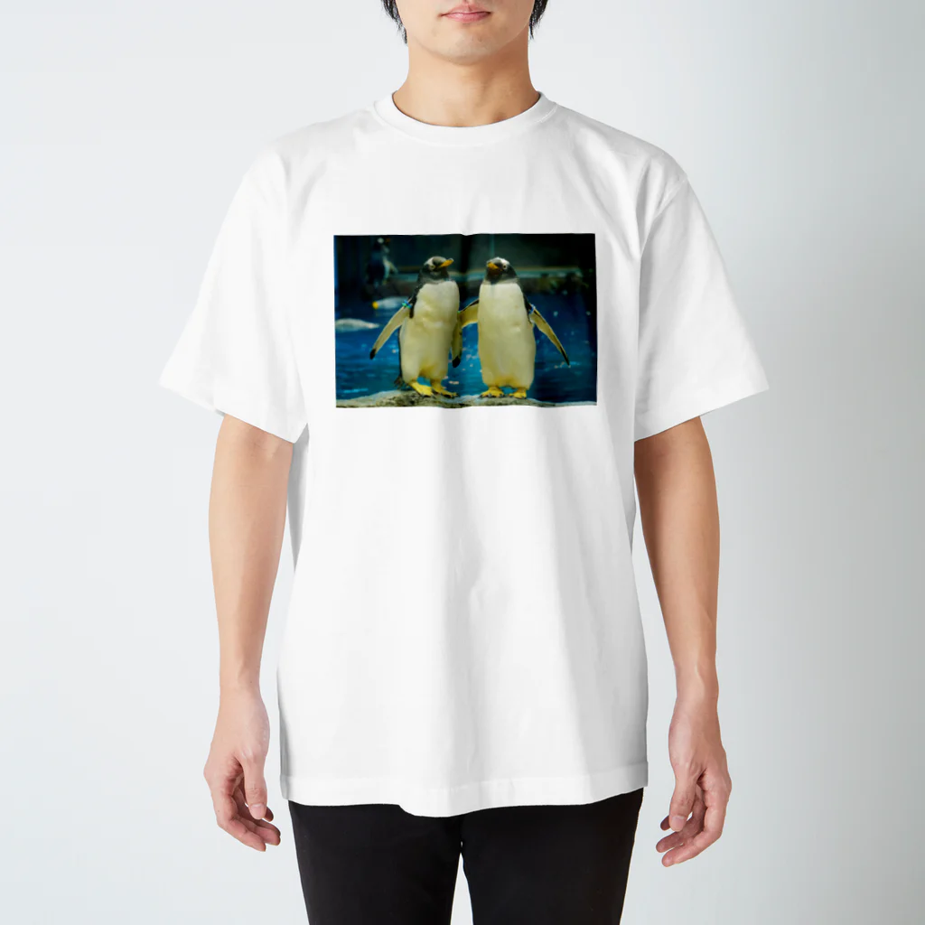 ペンギンの写真のジェンツーペンギン　写真　リアル　仲良し スタンダードTシャツ