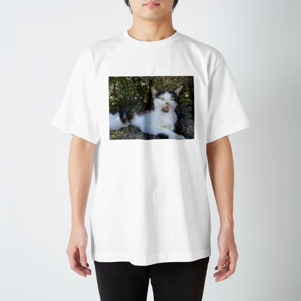 jlkのかいねこ スタンダードTシャツ