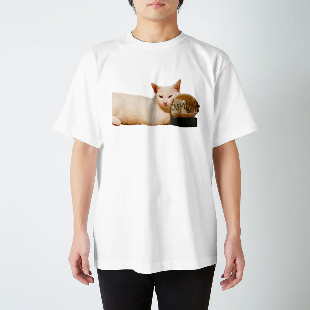 adoama HOUSEの球体ねこ /文字あり スタンダードTシャツ