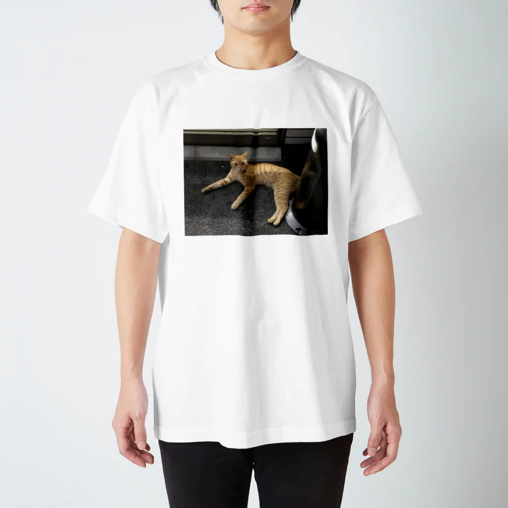 オシャな人向け。の近所にいる猫ちゃん Regular Fit T-Shirt