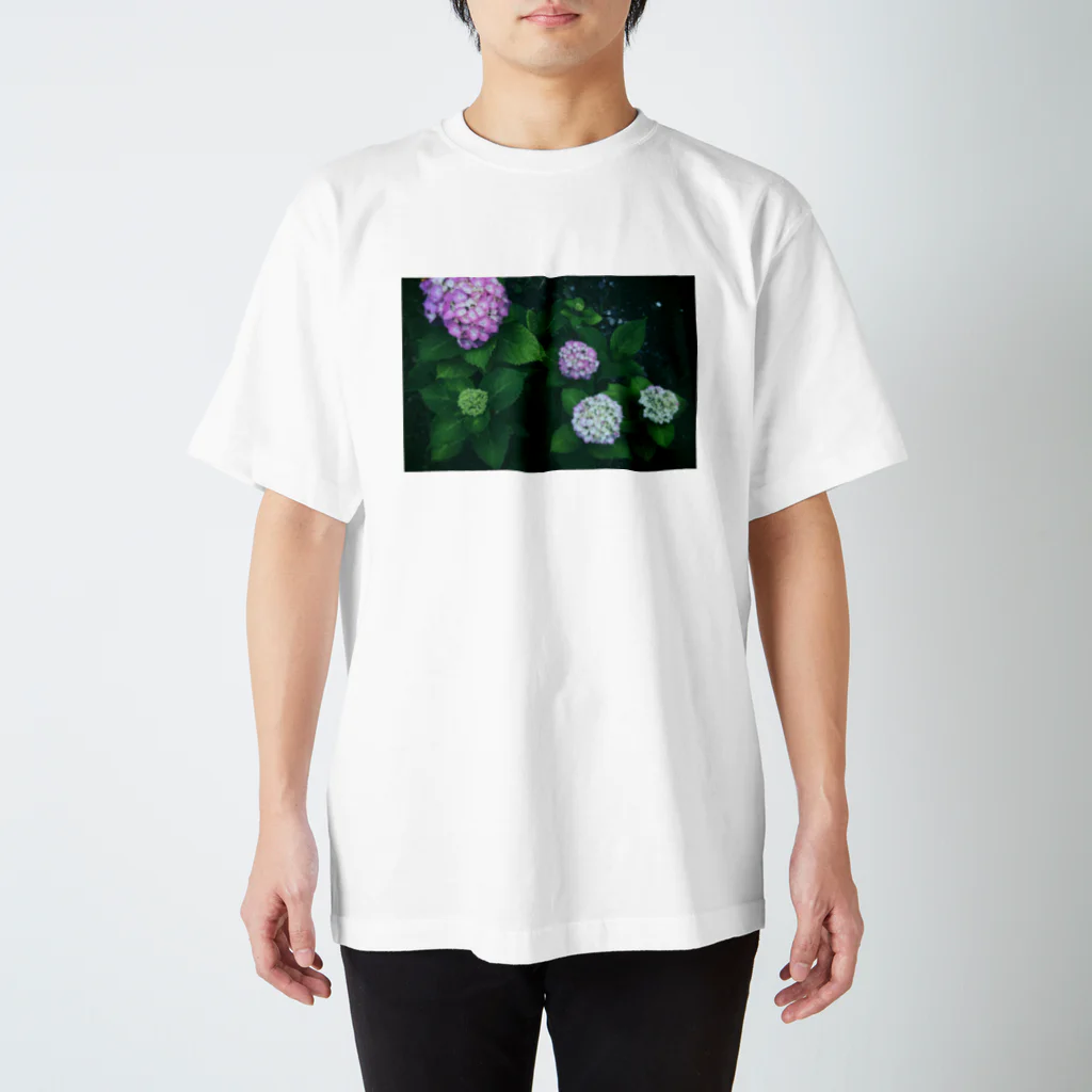 エリザベスゴリラの紫陽花だよ スタンダードTシャツ