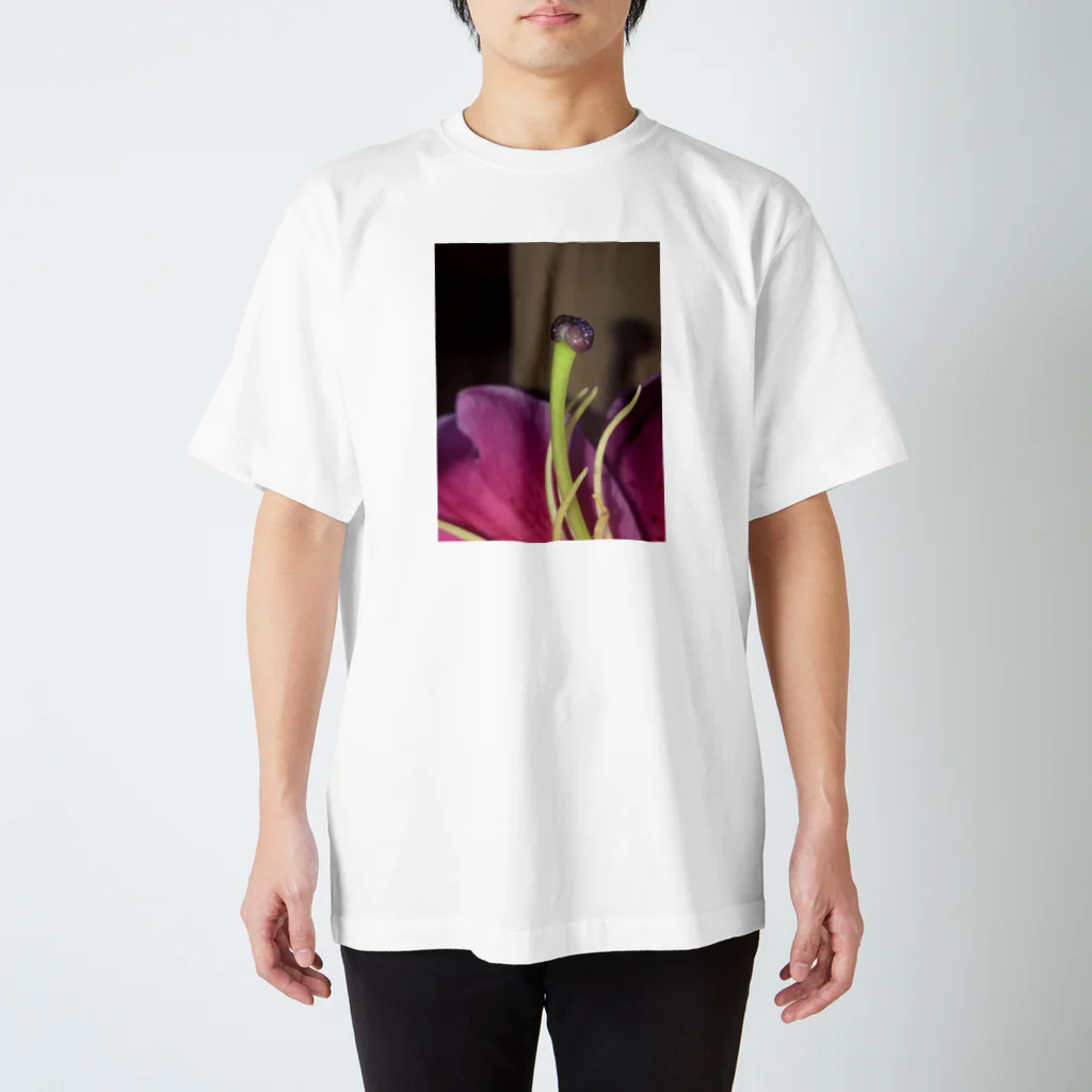 sayo1o29の雌蕊 Regular Fit T-Shirt