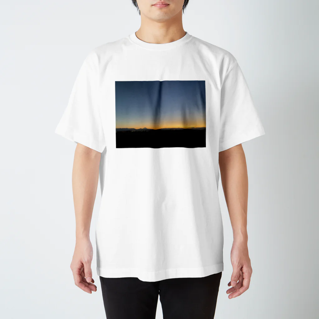 birds_jpのto be Regular Fit T-Shirt