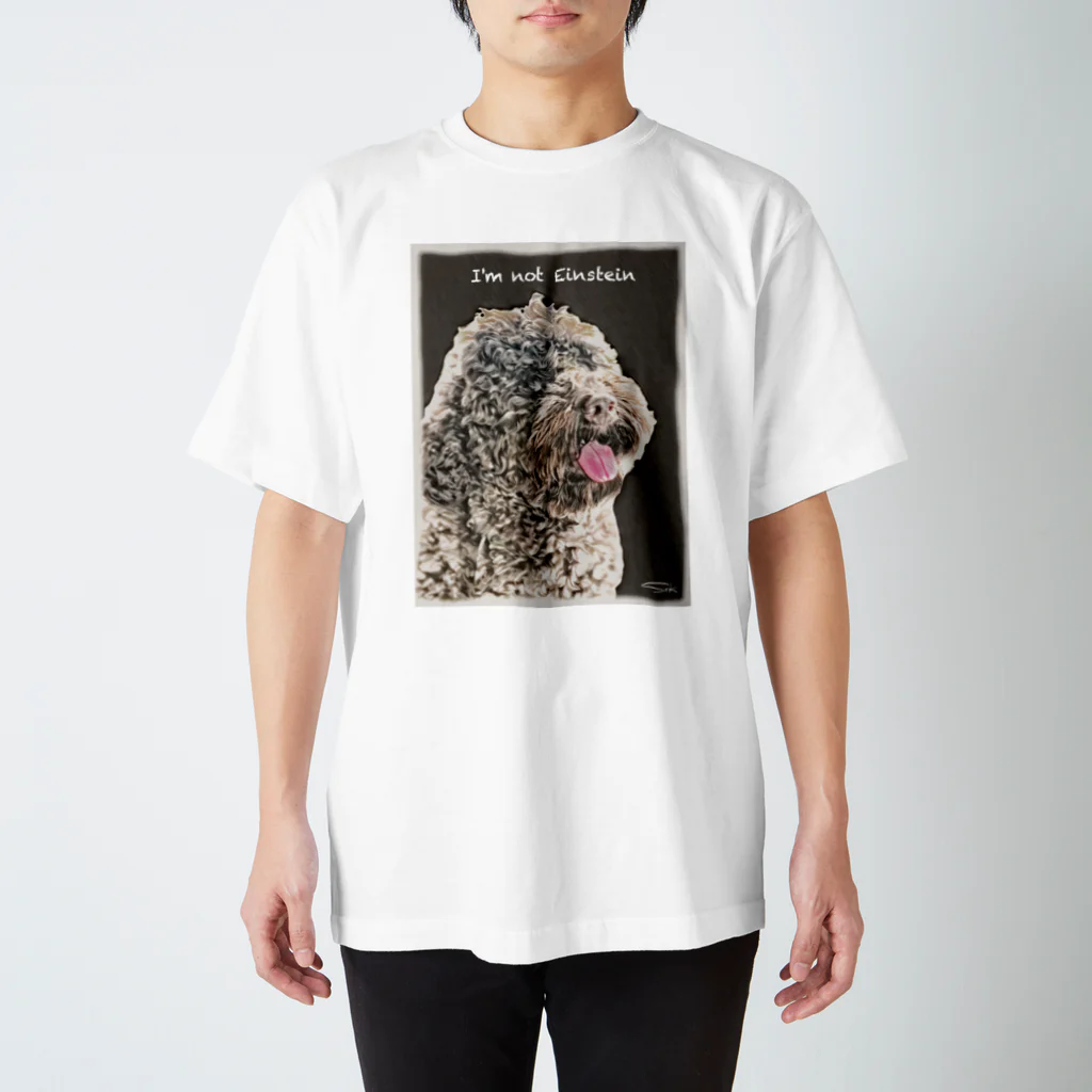 ミリオンダラー・ドッグ（million dollar dog）のミリオンTYPE-B（I'm not Einstein） Regular Fit T-Shirt