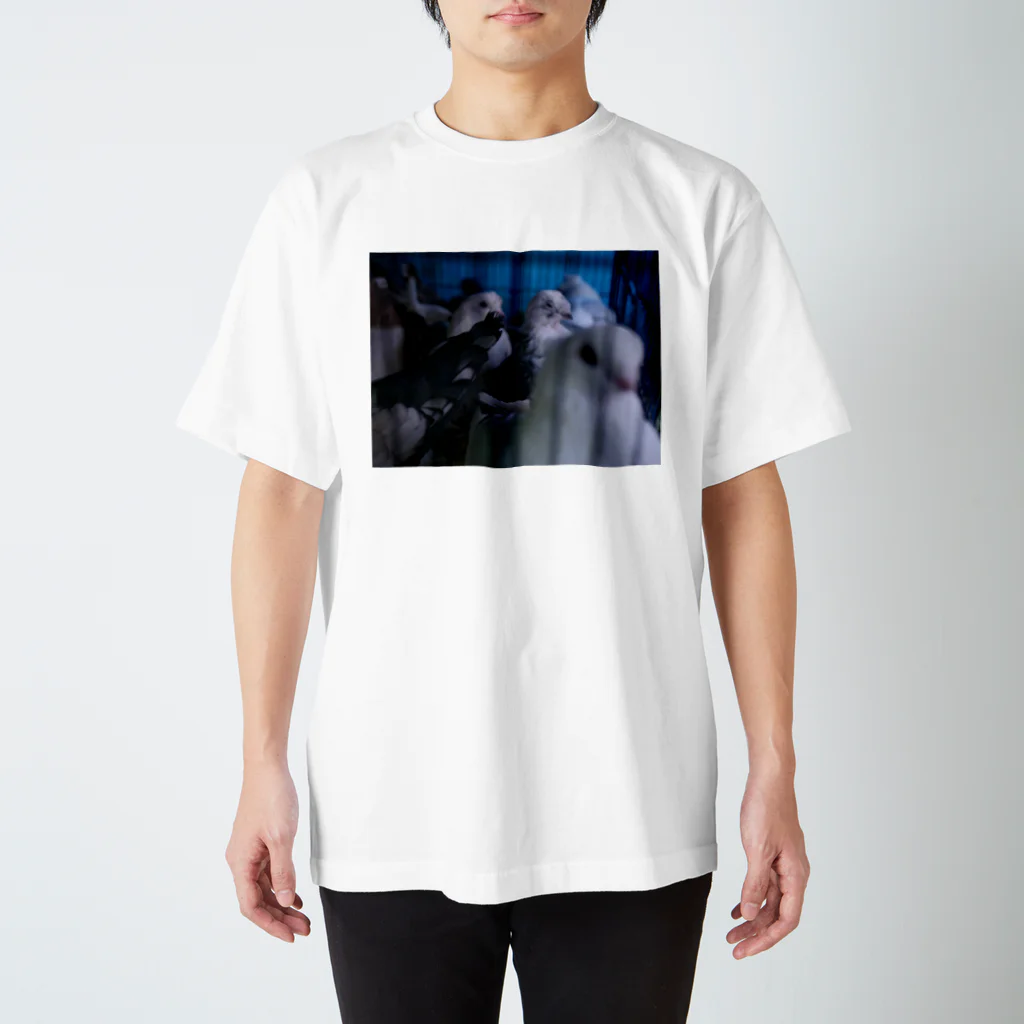 fragmentsのトルコの鳩 スタンダードTシャツ