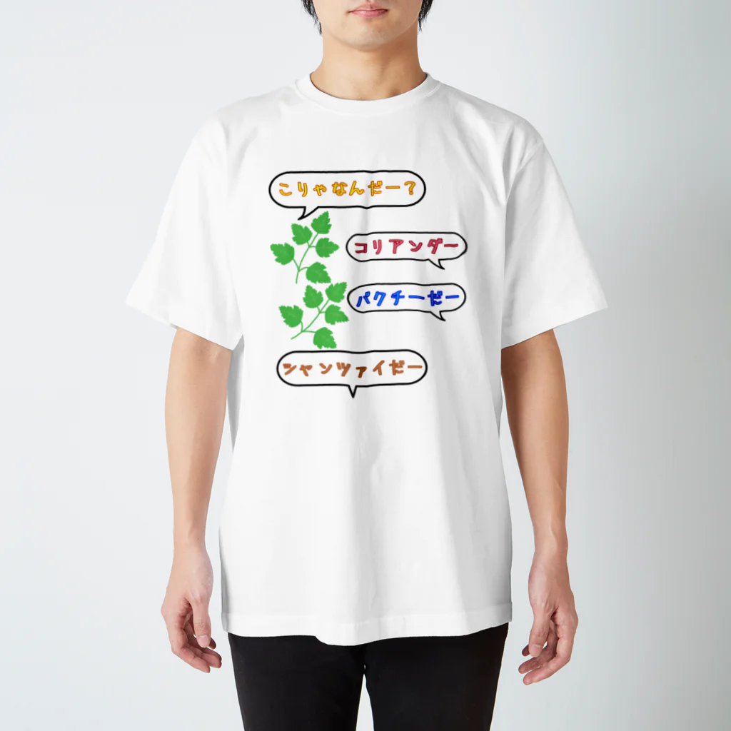 ウチのMEIGENやさんのこりゃなんだー？コリアンダー Regular Fit T-Shirt