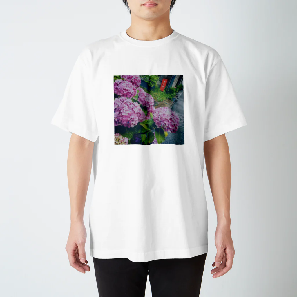 kotoのあじさいと帰り道 Regular Fit T-Shirt