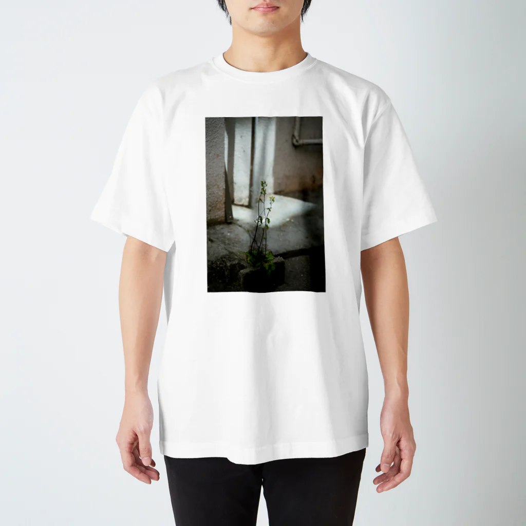 写真プリントのクサっても草 Regular Fit T-Shirt