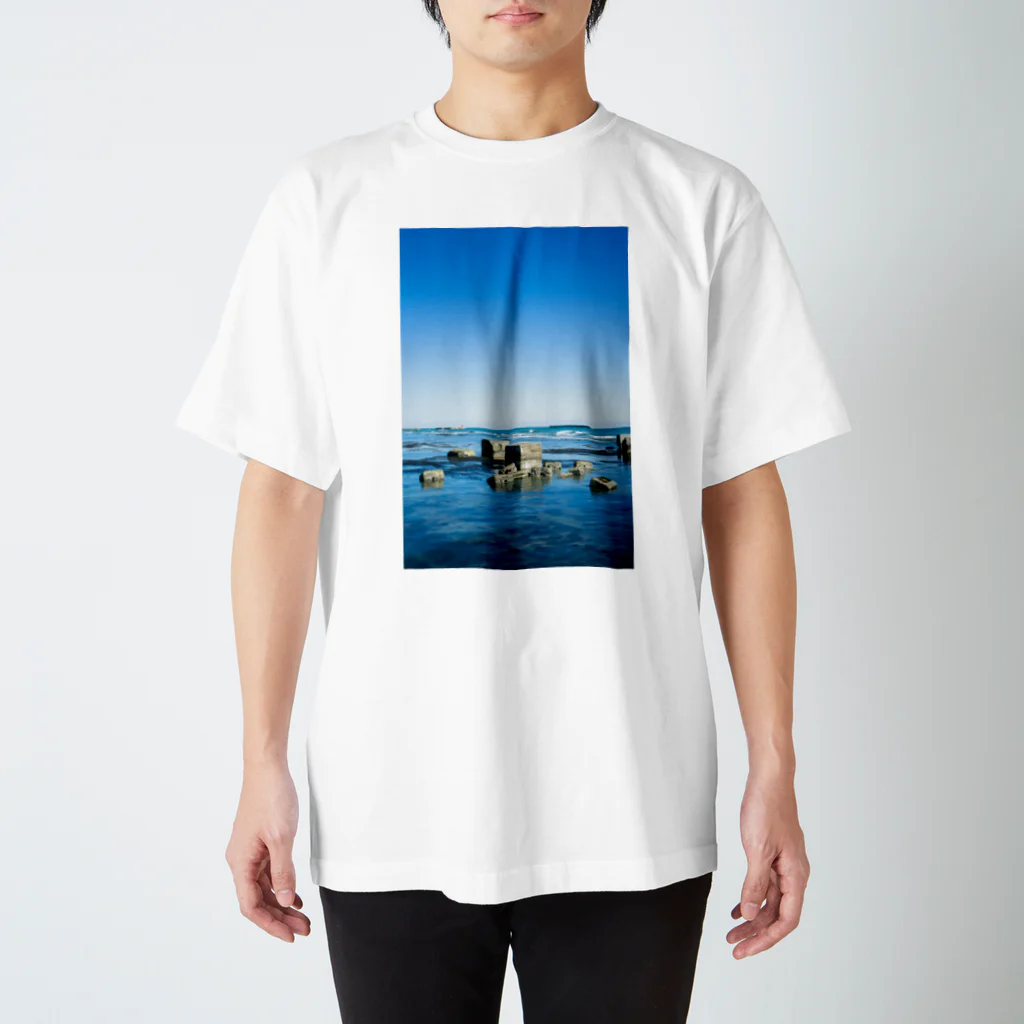 写真プリントの奇怪遺産　かも Regular Fit T-Shirt