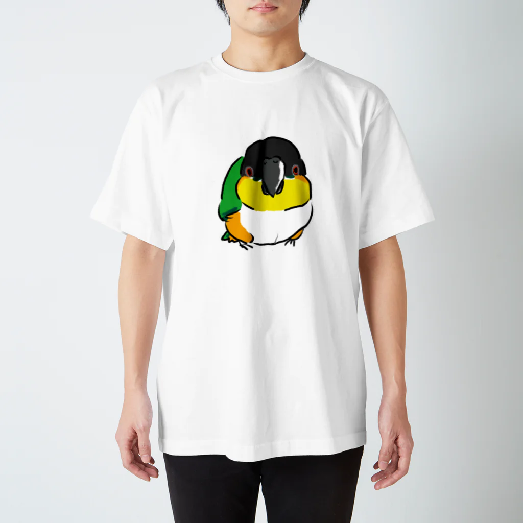 inkono shimobeのまんまるズグロシロハラインコ スタンダードTシャツ