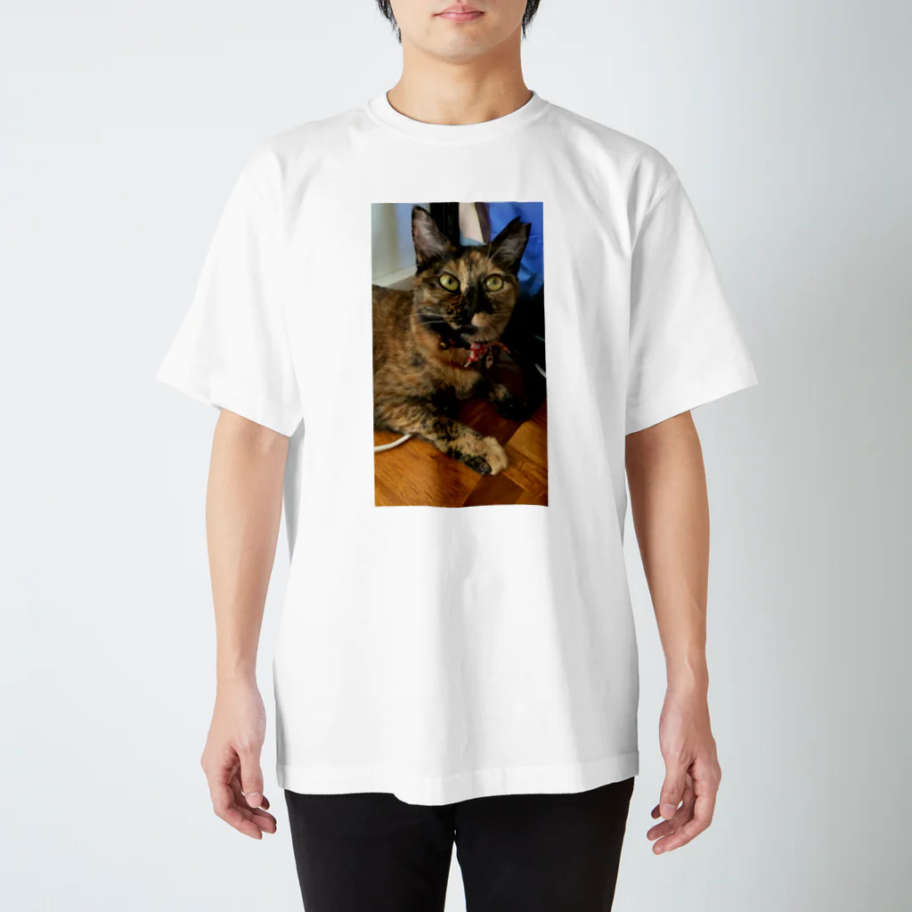 sayuri Nagashimaのサビ猫さびちゃん スタンダードTシャツ