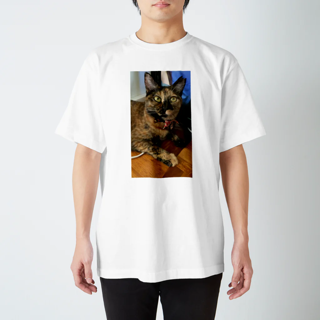 sayuri Nagashimaのサビ猫さびちゃん Regular Fit T-Shirt