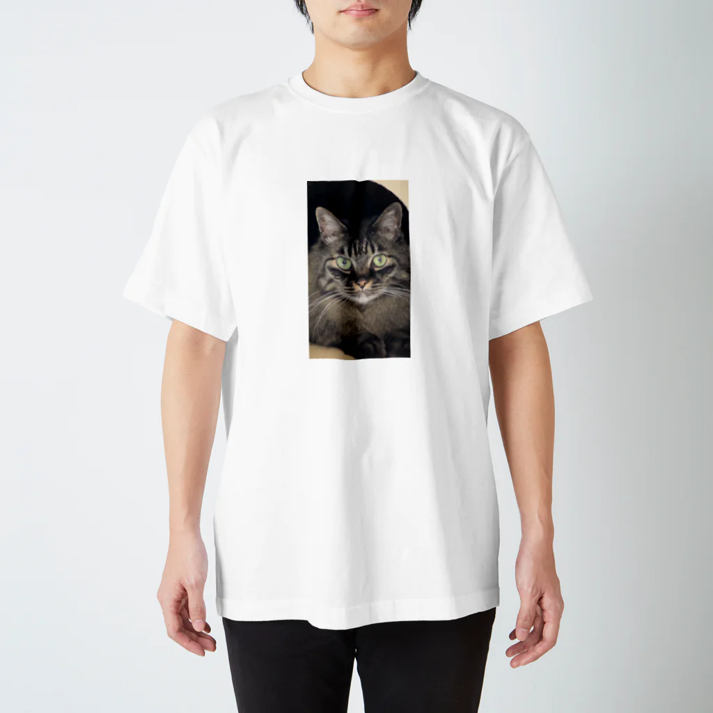 kotopucciのみー助 Regular Fit T-Shirt