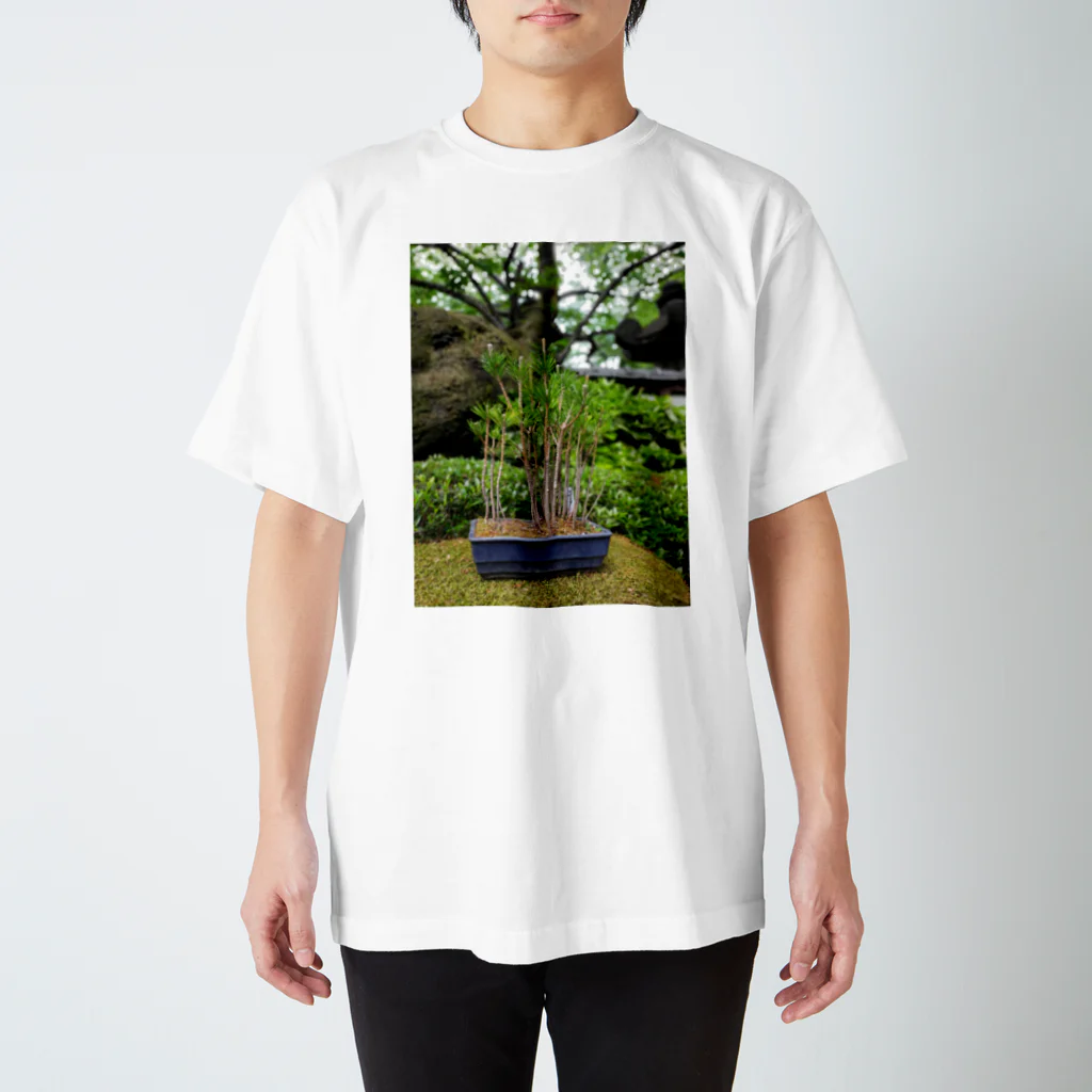 Wotikotiの盆栽 スタンダードTシャツ