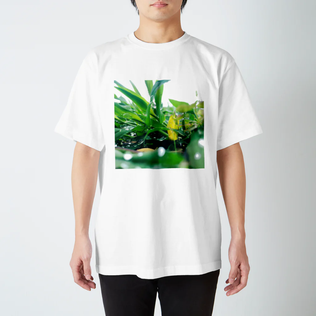 お風呂の雨上がり雑草 Regular Fit T-Shirt